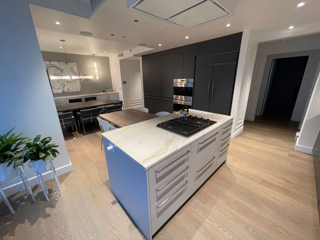 Chicago loop remodel kitchen